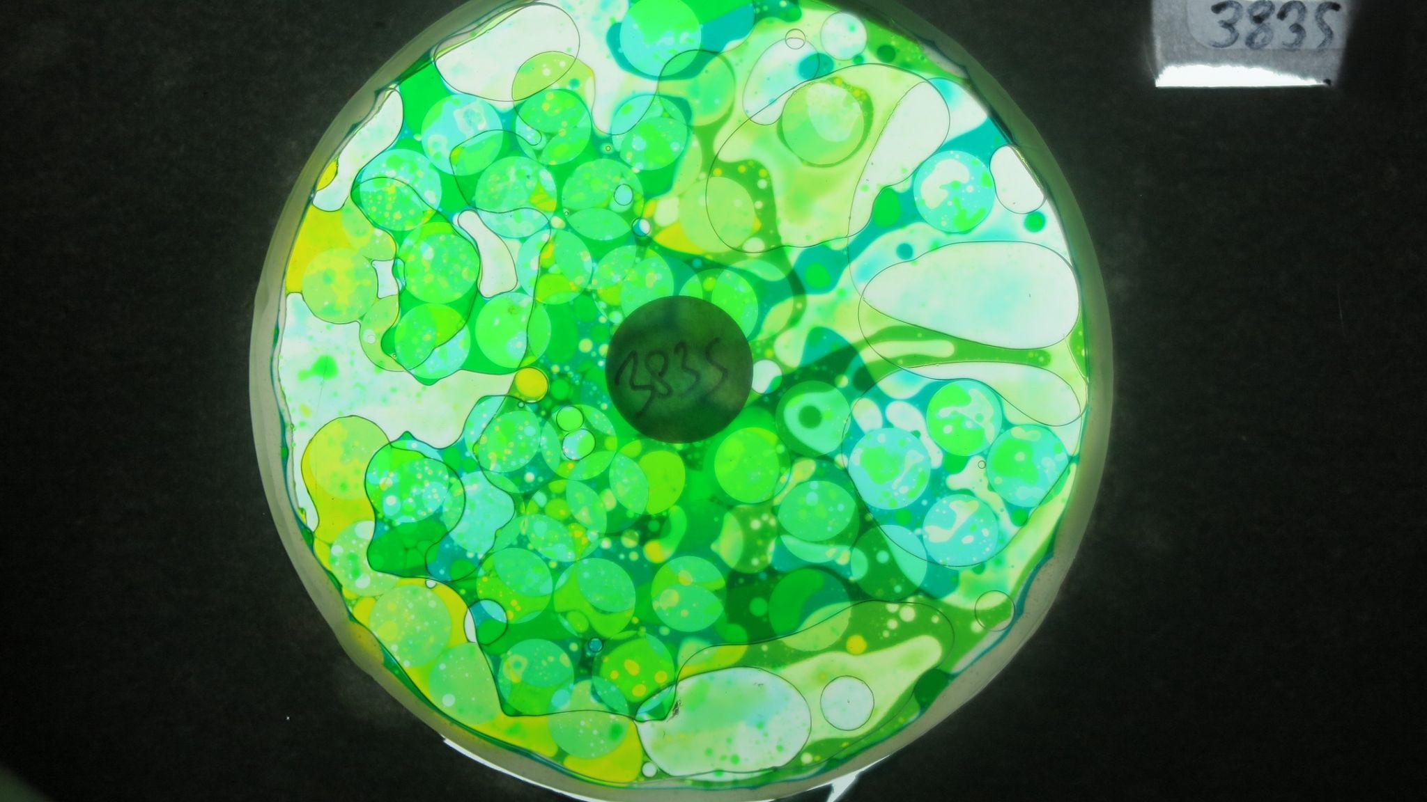 BV3835 bubble vision oil wheel